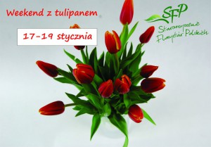 Weekend z tulipanem